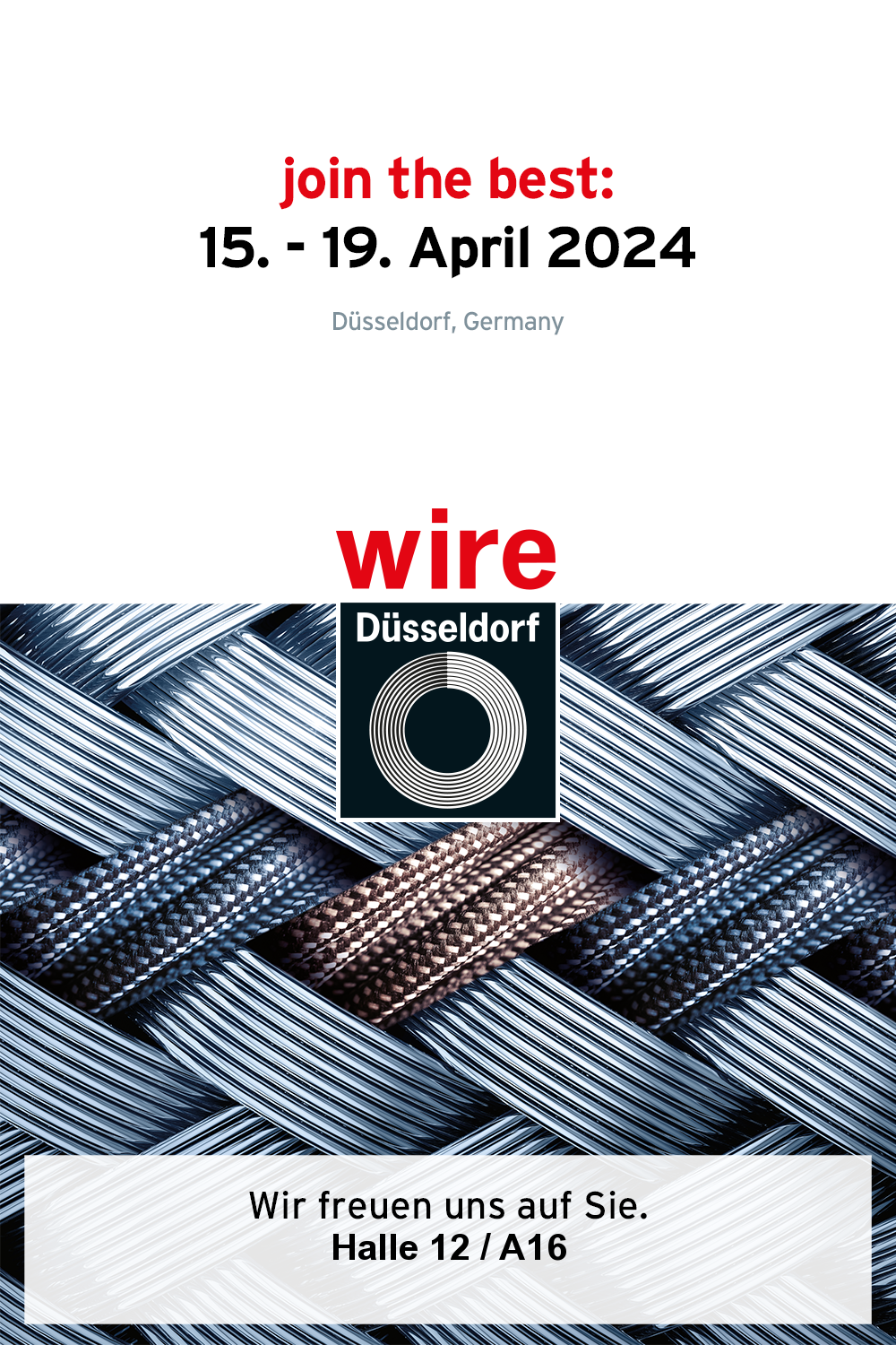 wire & tube 2024